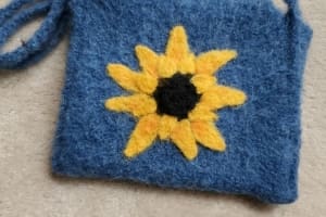 Small Blue Money Bag